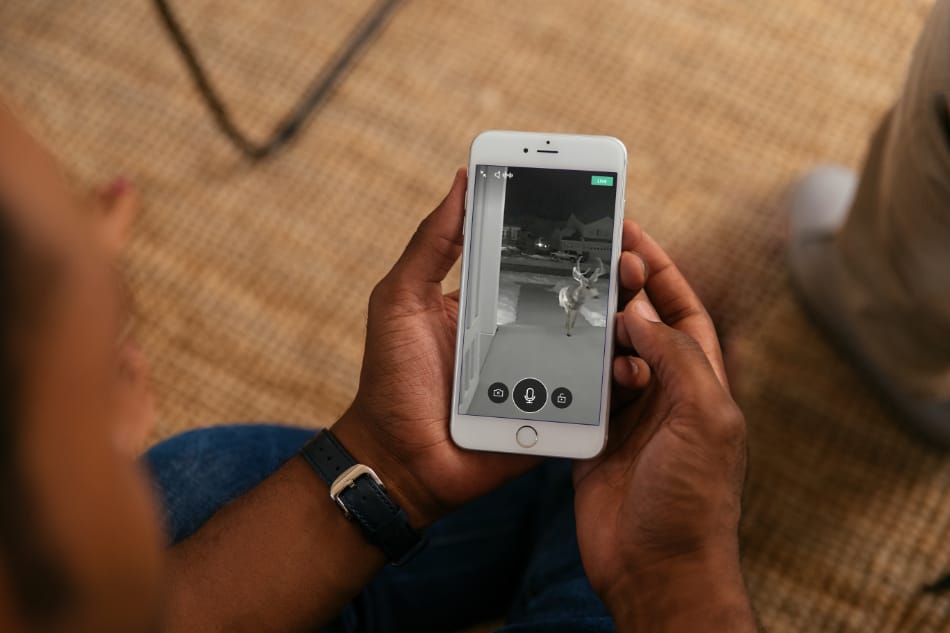 Mesilla TX security system